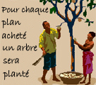 pour chaque plan acheté un arbre sera planté
